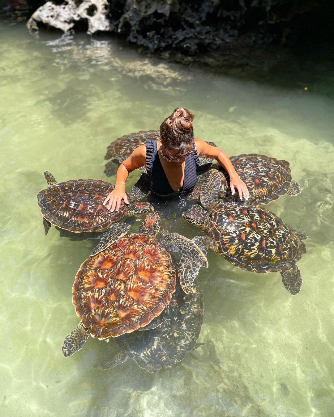 Baraka Aquarium tour thumbnail
