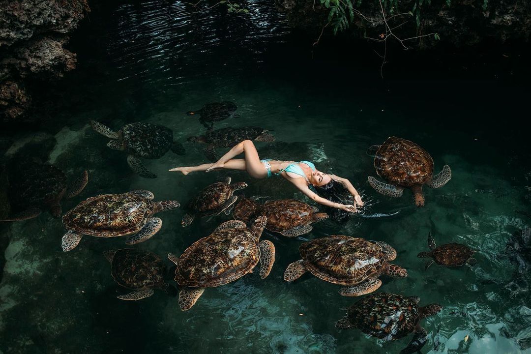 Baraka Aquarium tour thumbnail