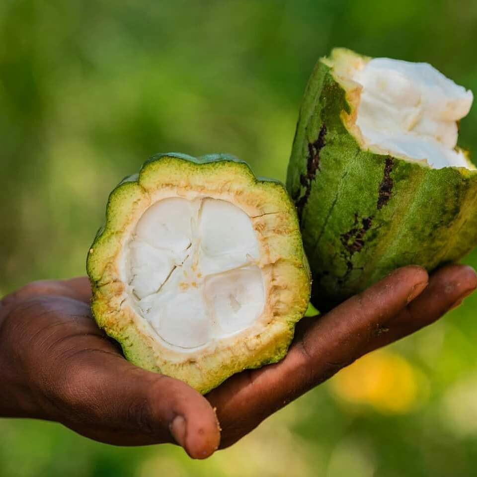 Spice tour thumbnail