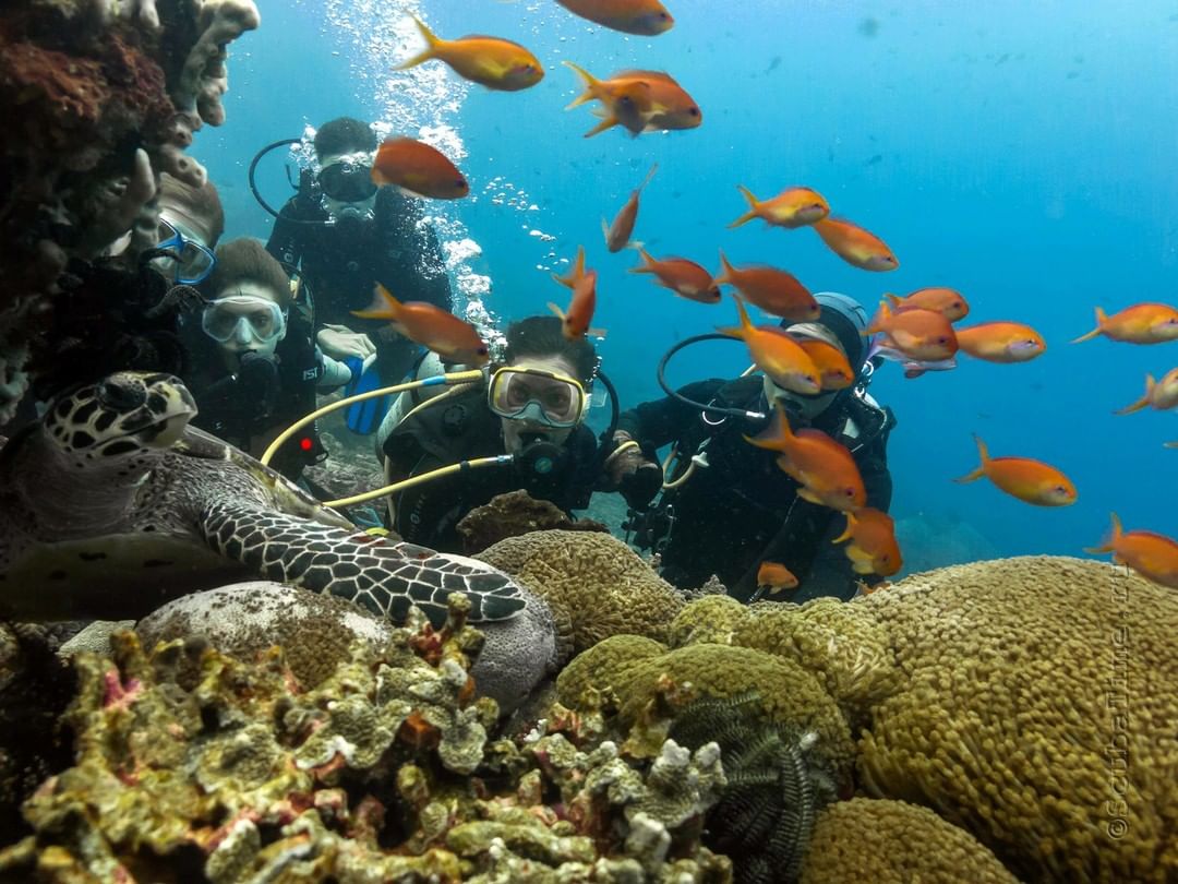 Safari Blue tour thumbnail