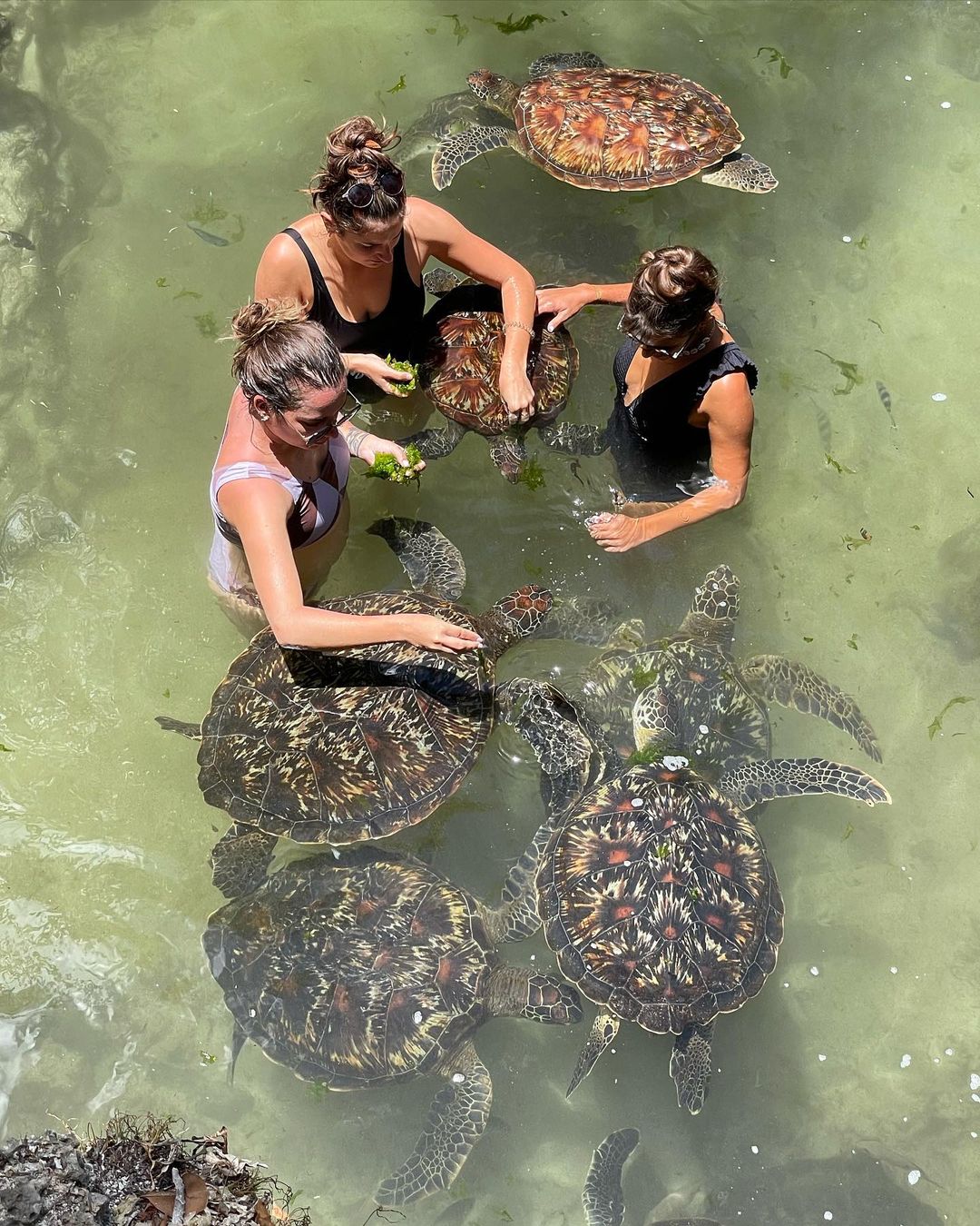 Baraka Aquarium tour thumbnail