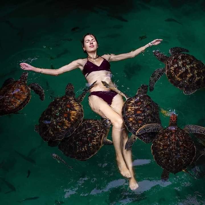 Baraka Aquarium tour thumbnail