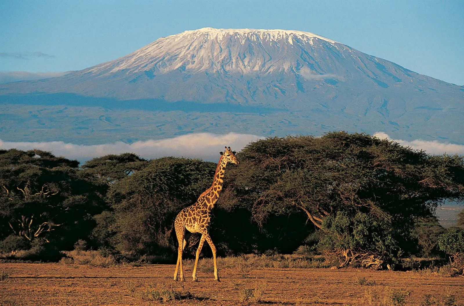 Mount Kilimanjaro Summit