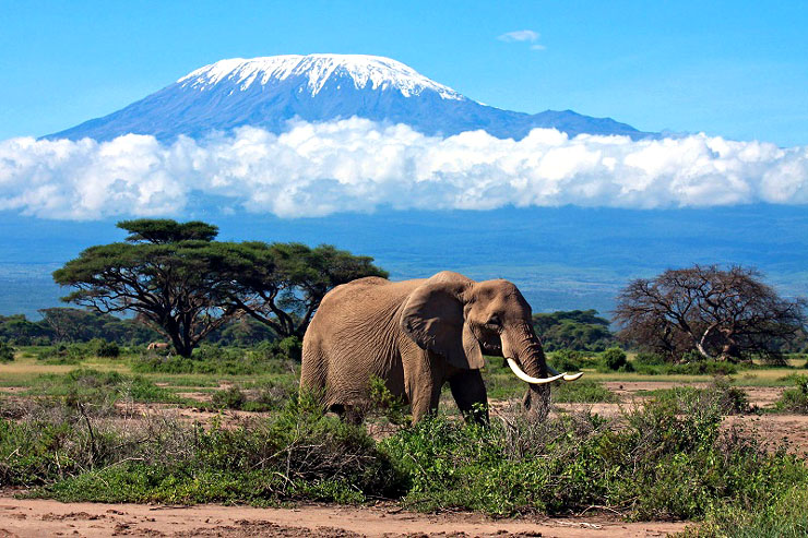 Mount Kilimanjaro Summit
