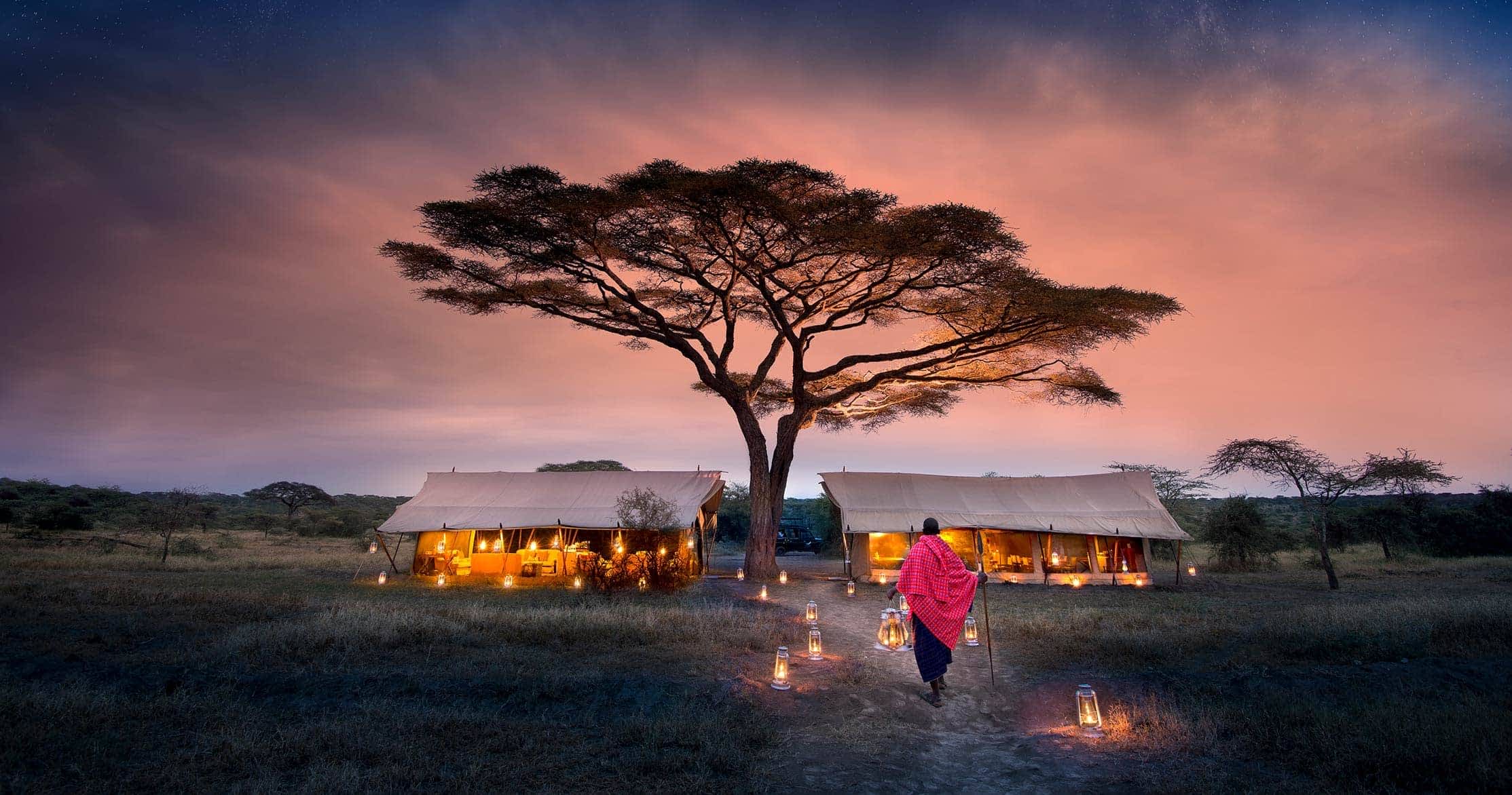 Endless plains and acacia trees in Serengeti National Park