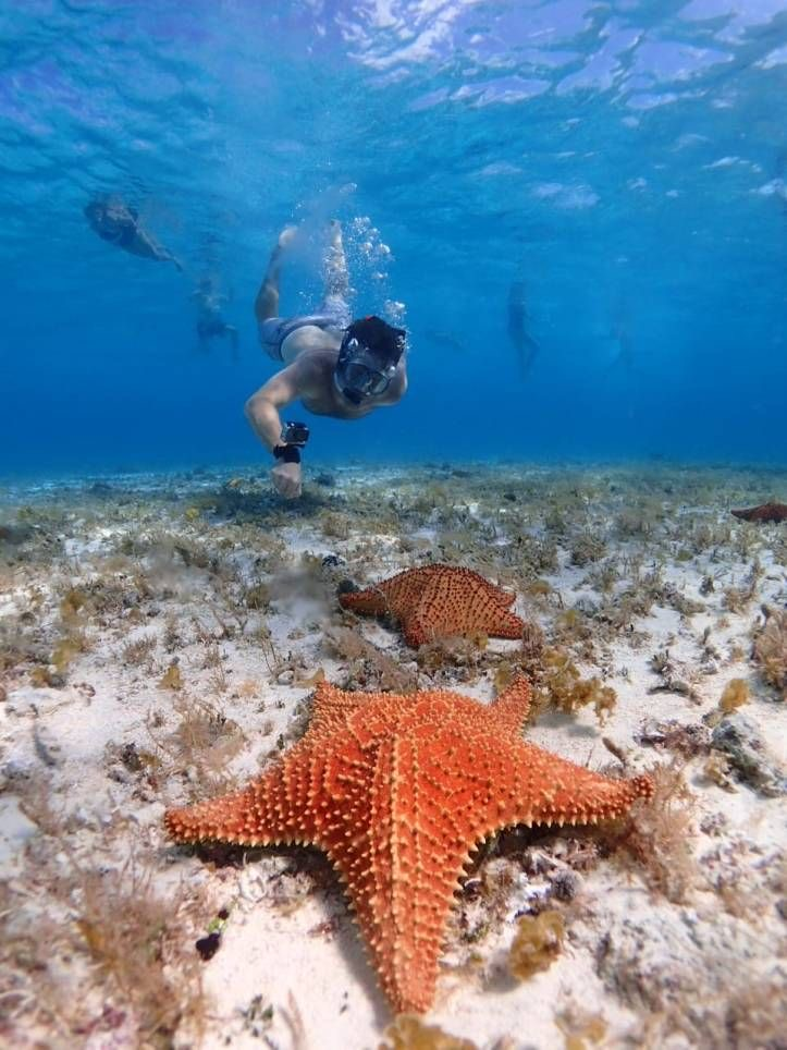 Safari Blue tour thumbnail