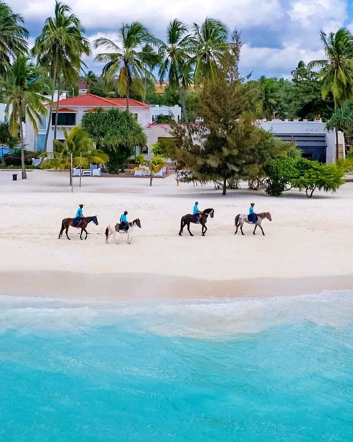 Safari Blue tour thumbnail