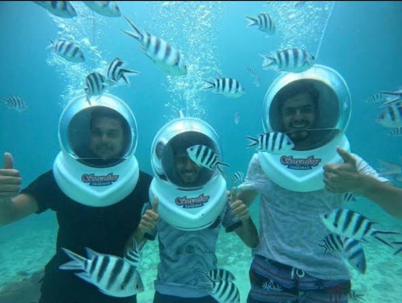 Safari Blue tour thumbnail