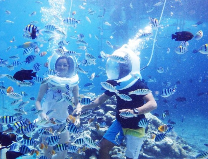 Safari Blue tour thumbnail